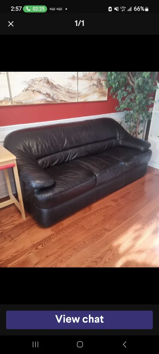 Free delivery Leather Sofa