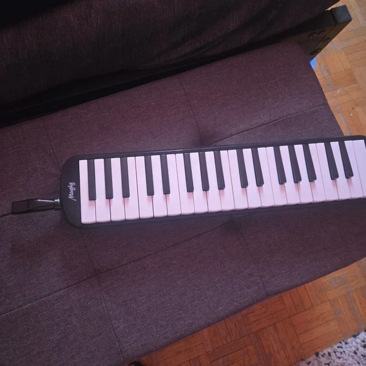 Mugig Melodica with Case