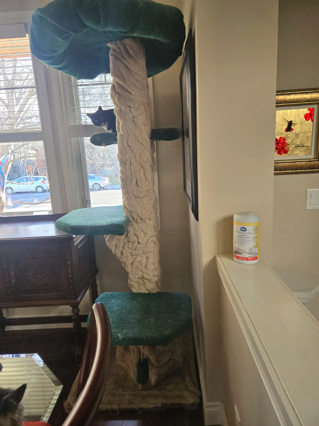Cat Tree with Multiple Platforms image indicator(3)
