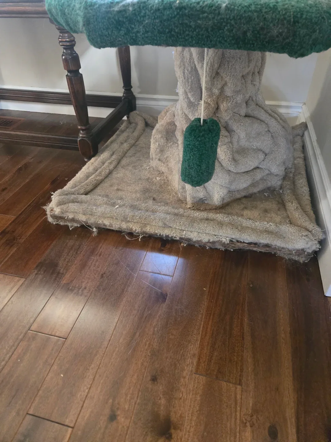 Cat Tree with Multiple Platforms image indicator(4)