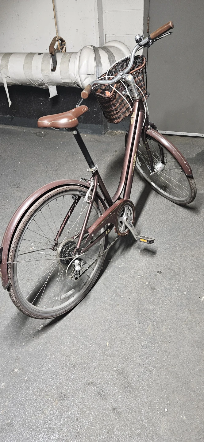 Liv Flourish 2 Ladies Bike - Brown - photo 4