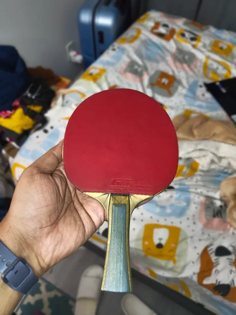 Table Tennis Paddles (2) w/ Ball
