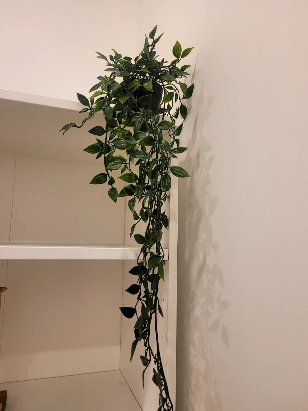 Home Decor: Metal Planter & Faux Hanging Plants image indicator(4)