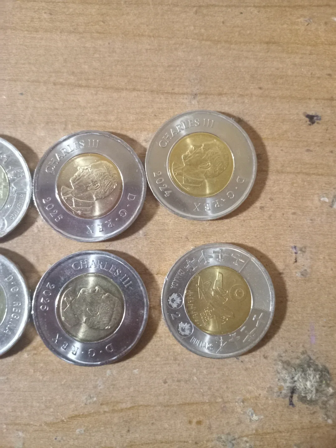 NICE Modern Canadian Toonies Coins image indicator(3)