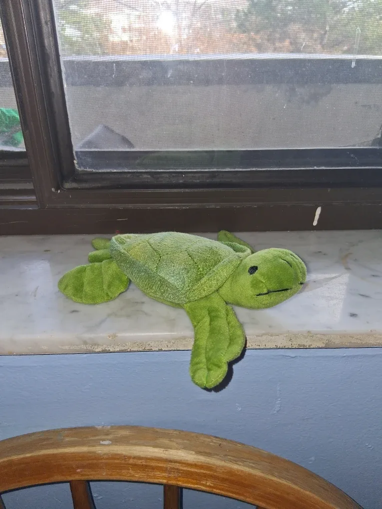 Green Plush Turtle Toy image indicator(3)