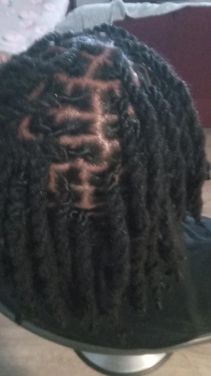 Single braids and dread locks image indicator(2)