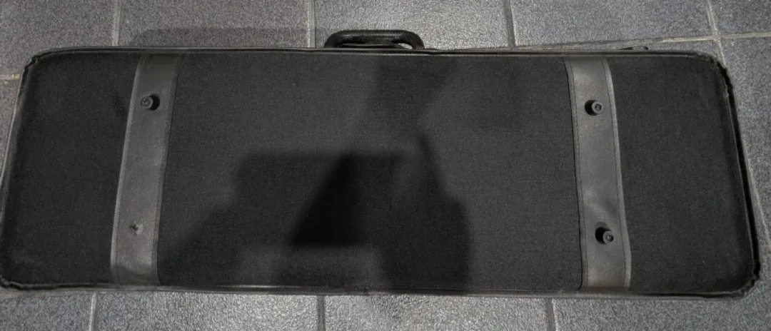 Violin Case - Black Exterior, Green Interior image indicator(2)