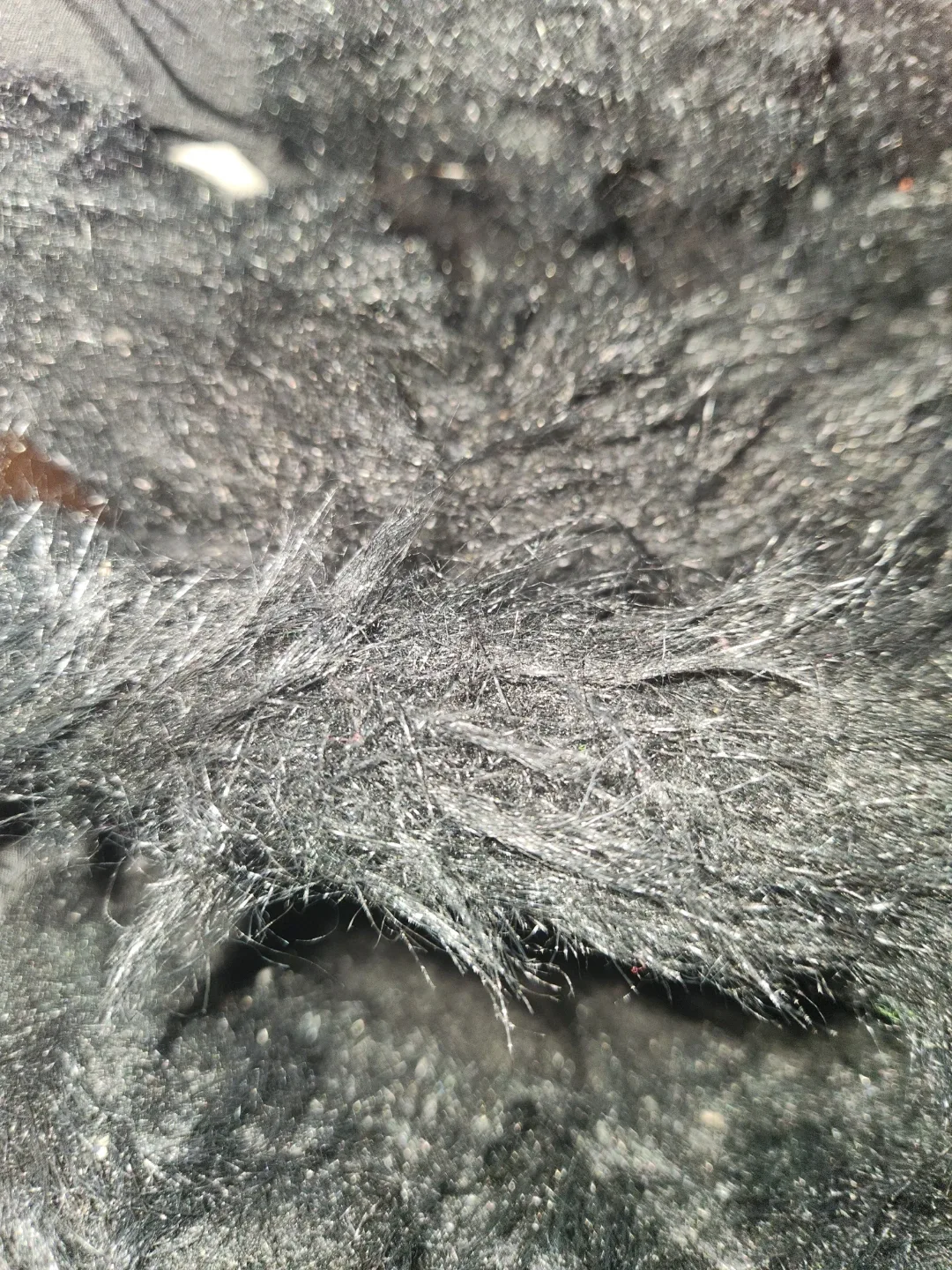 Women's black calf length zip-up winter boots image indicator(6)