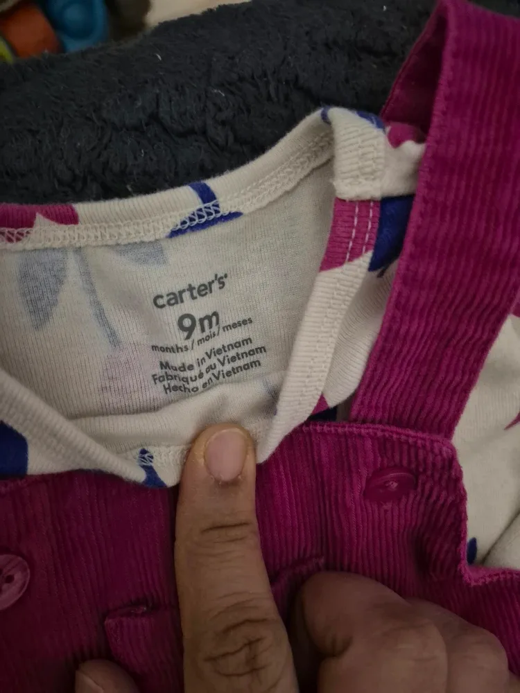 Infant 9 month dress carter image indicator(3)