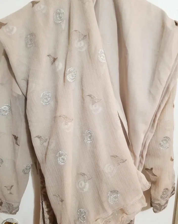 Floral Embroidered Salwar Kameez Suit image indicator(4)