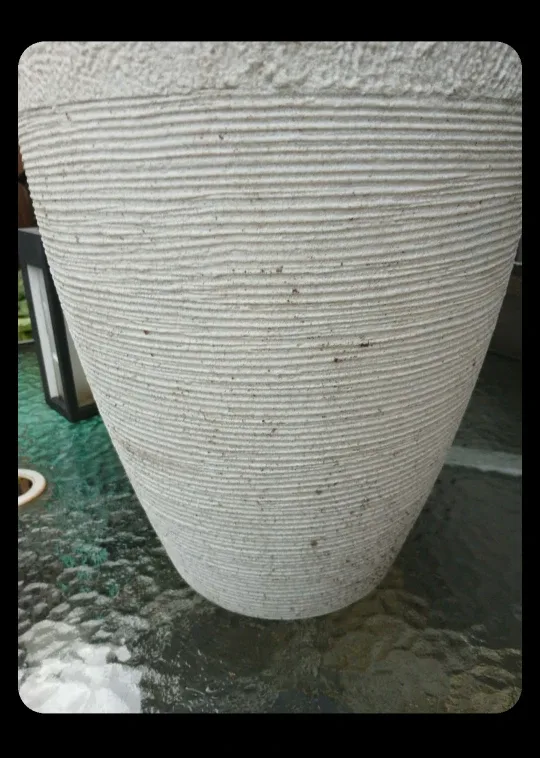 Garden Plant Pot Free