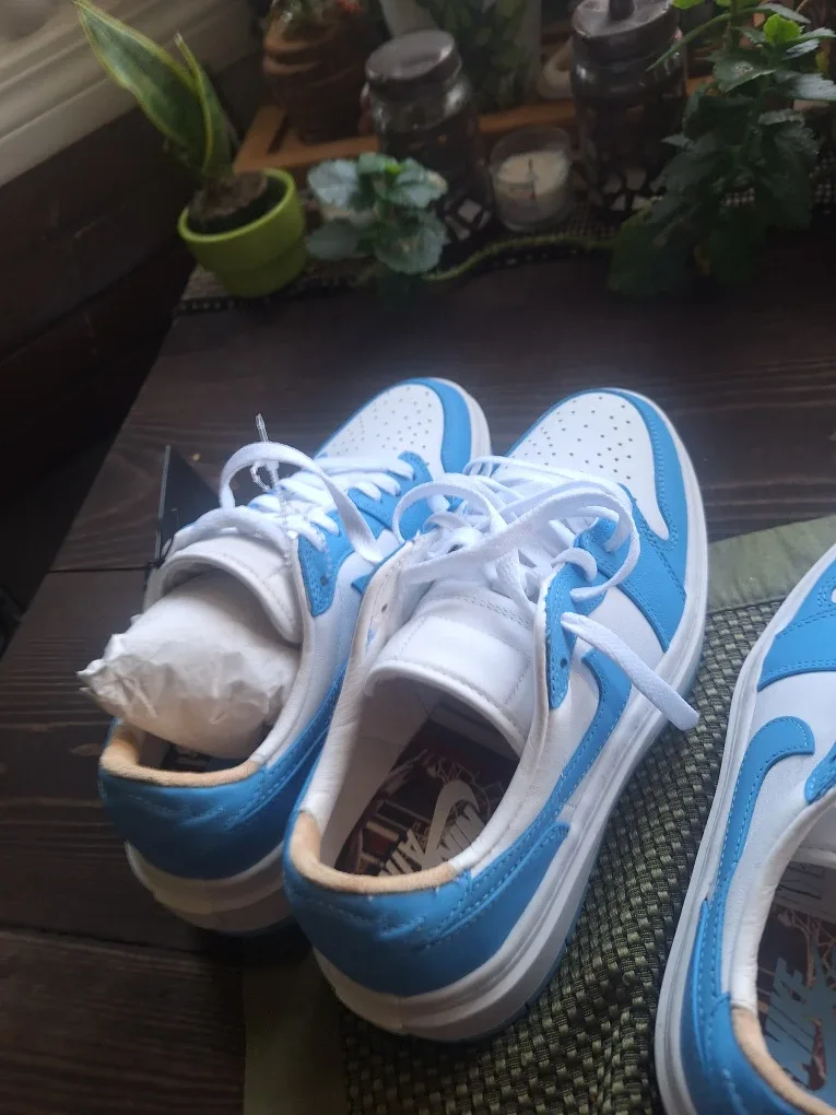 Nike Dunk Low UNC Blue Shoes