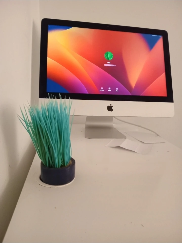 Apple iMac Desktop Computer 1000GB MICROSOFT OFFICE - photo 4