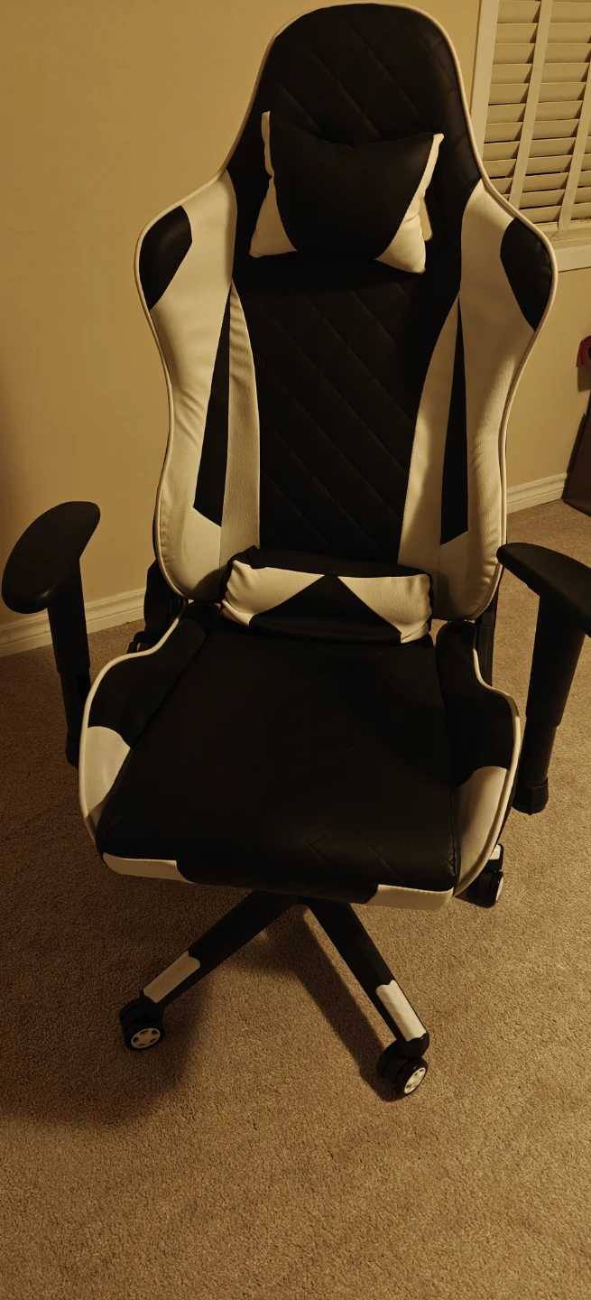 Black and White Gaming Chair