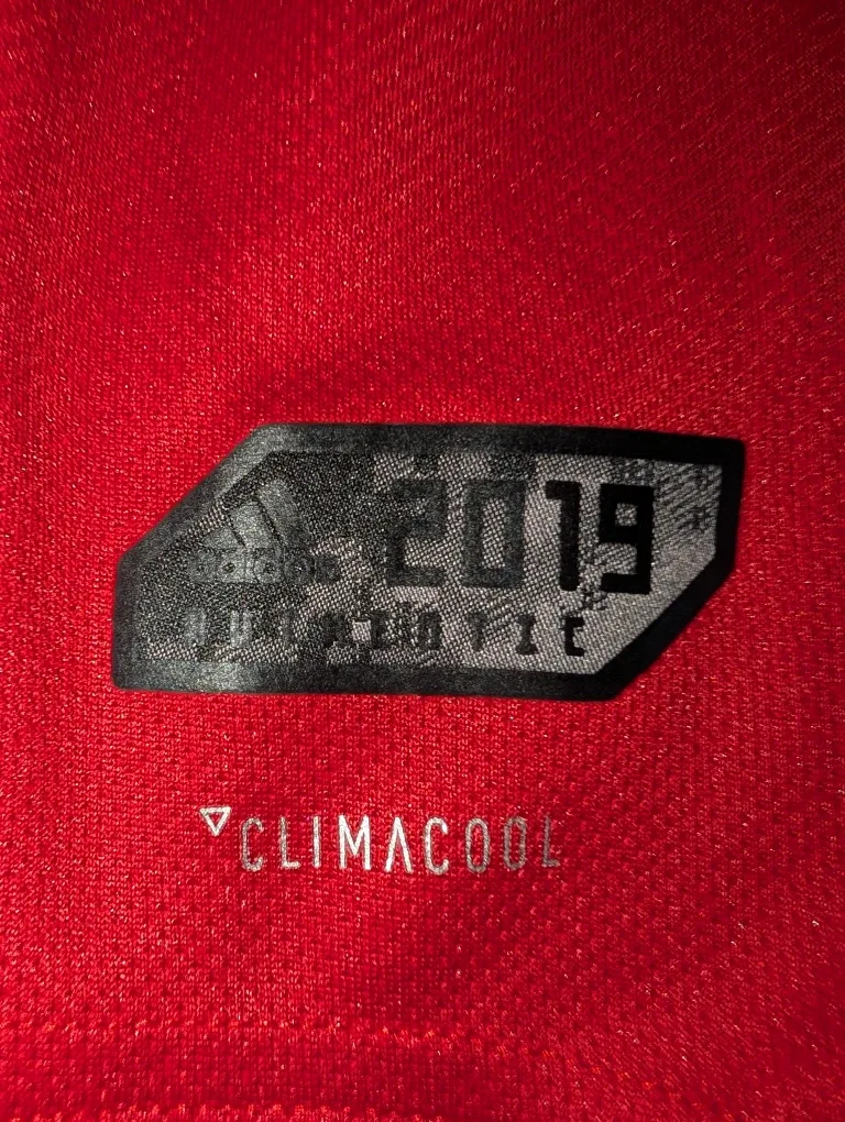Adidas Toronto FC 2019 ClimaCool Jersey image indicator(3)