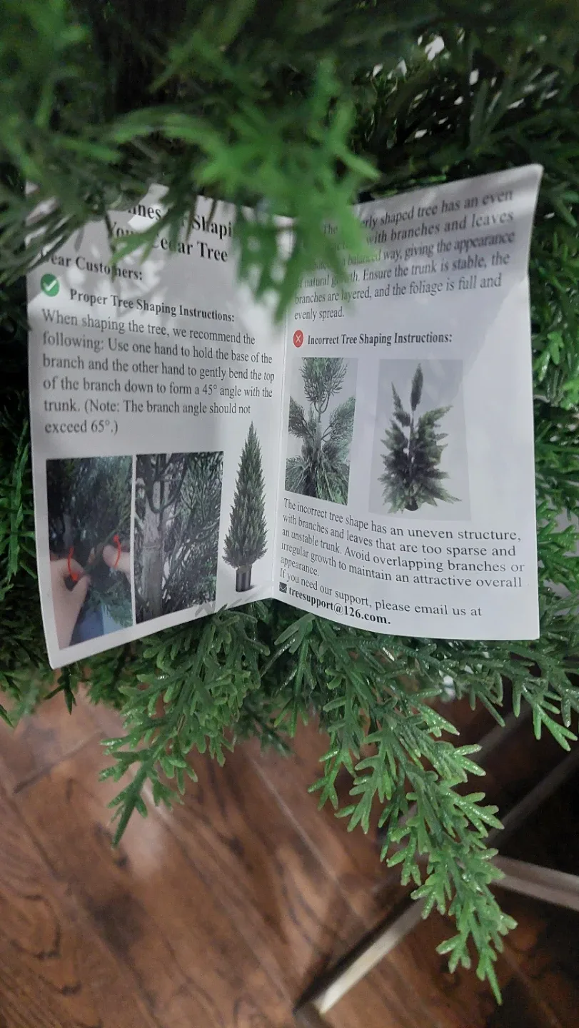 Japanese Shaping Juniper Cedar Tree image indicator(2)