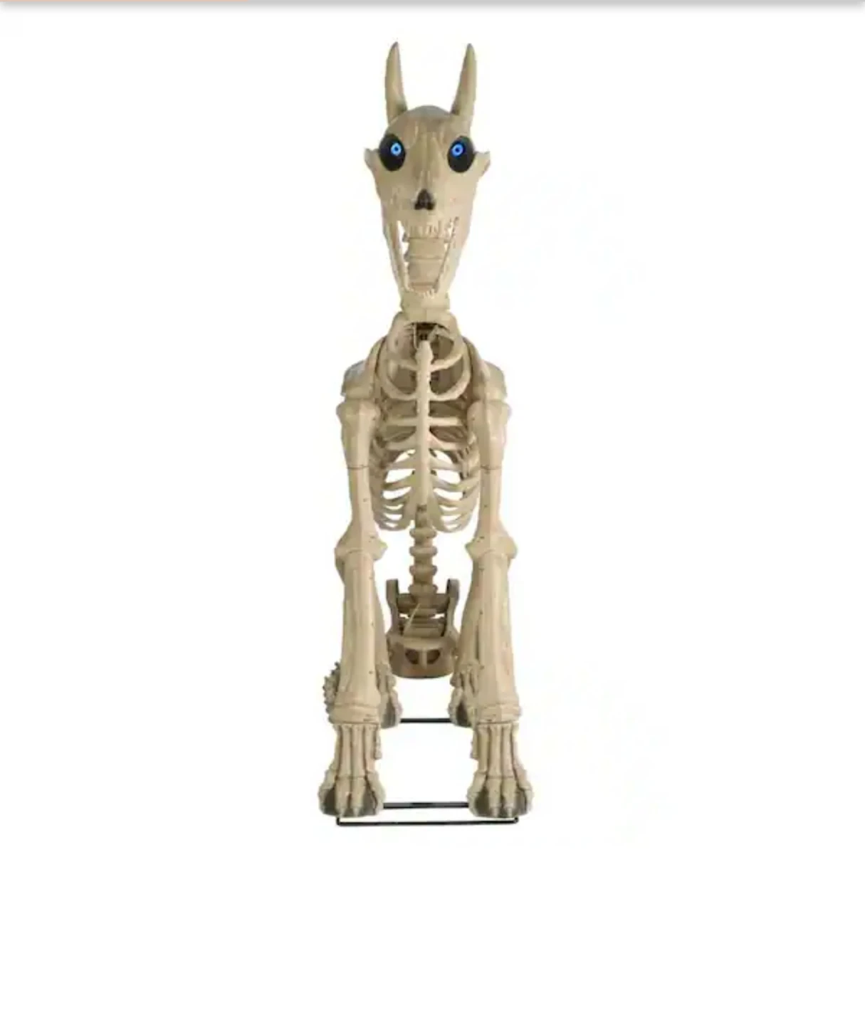 Home Accents Holiday Skelly's Sitting Dog - photo 2