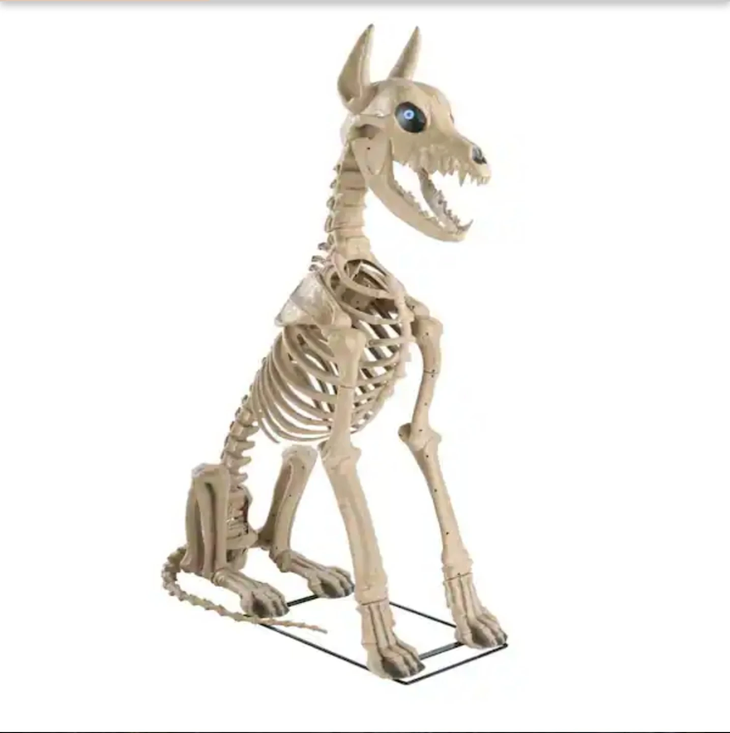 Home Accents Holiday Skelly's Sitting Dog - photo 3