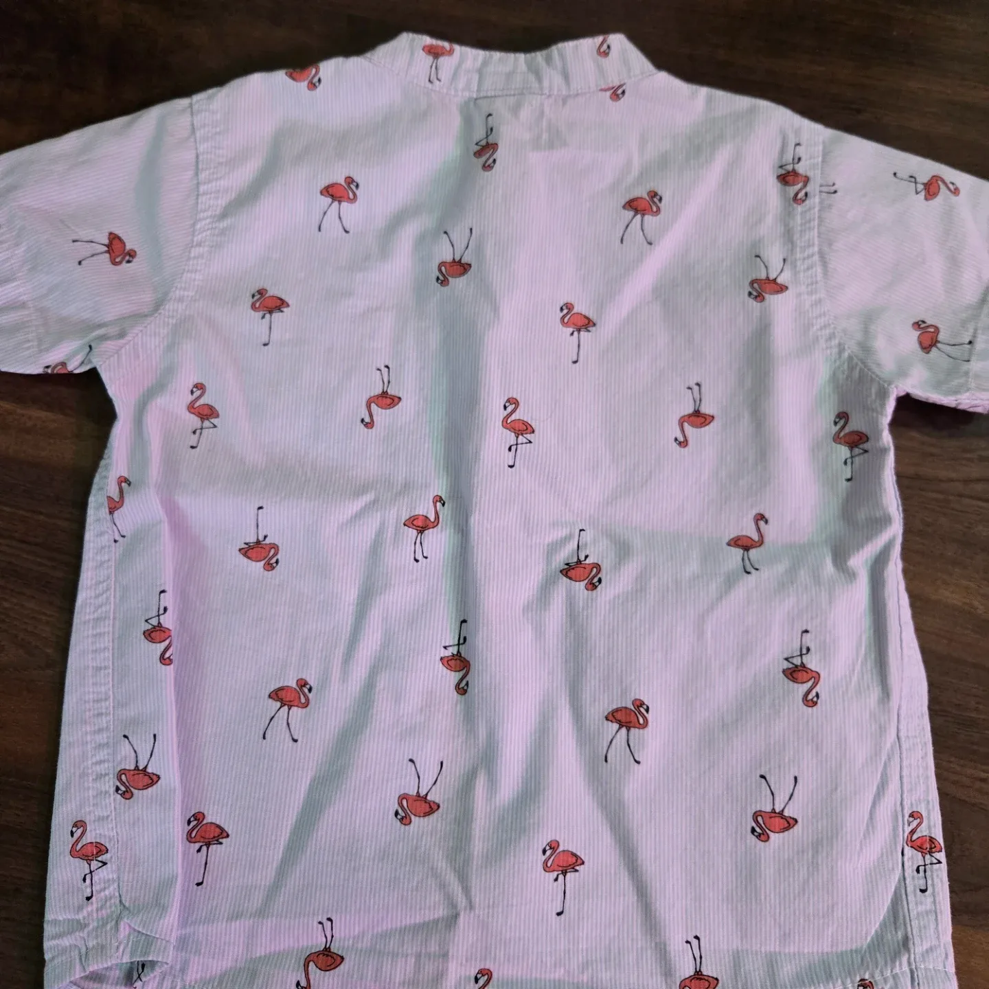 Toddler Boys 24m Flamingo Dress Shirt image indicator(2)