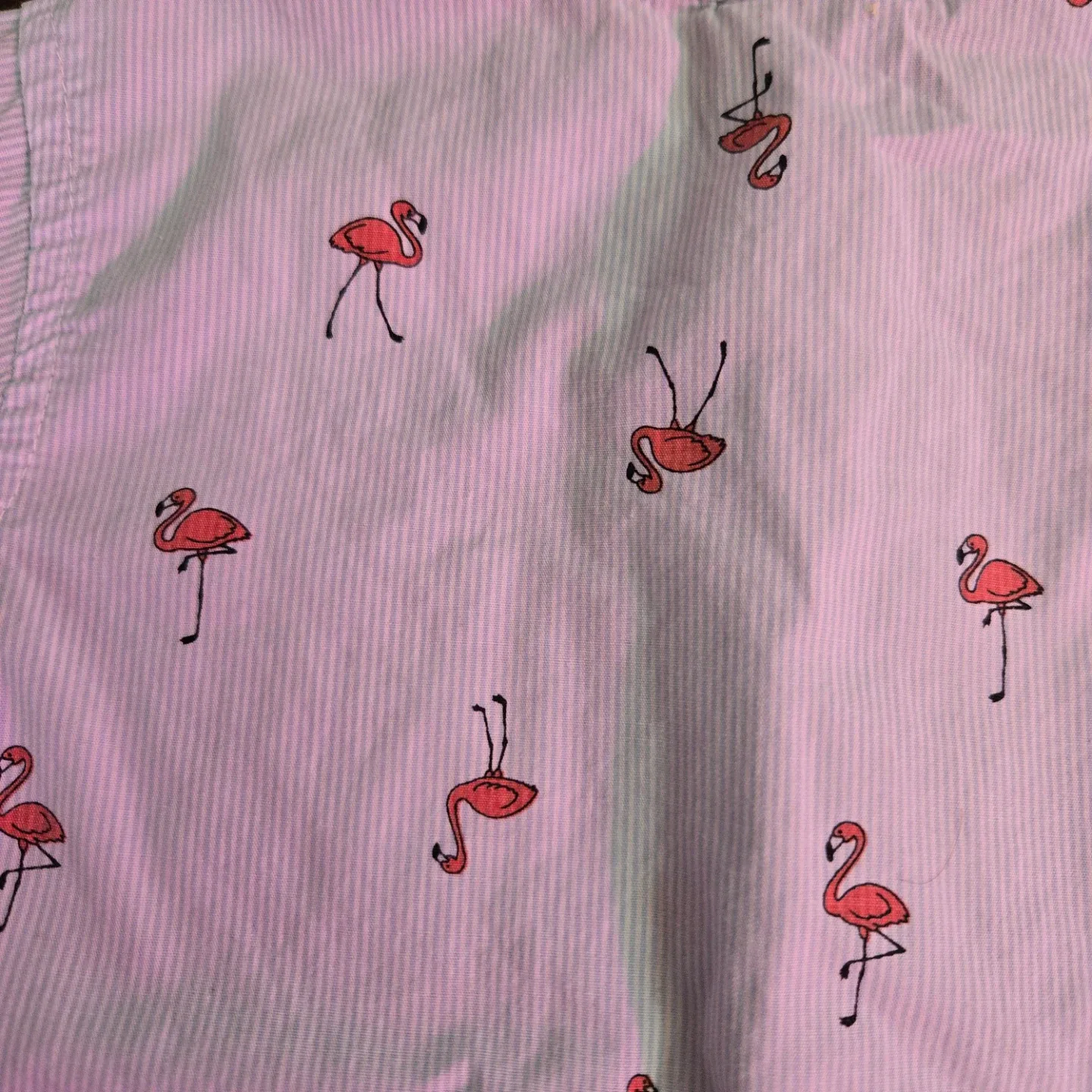 Toddler Boys 24m Flamingo Dress Shirt image indicator(3)