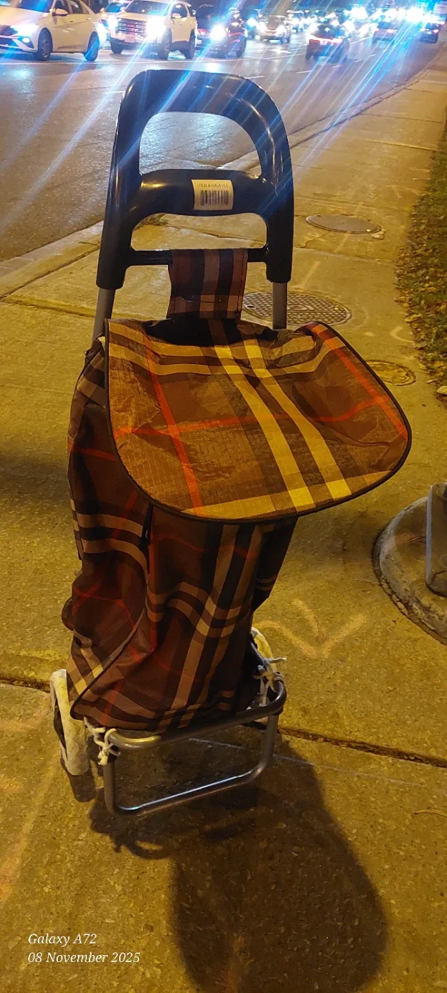 Plaid Shopping Cart image indicator(4)