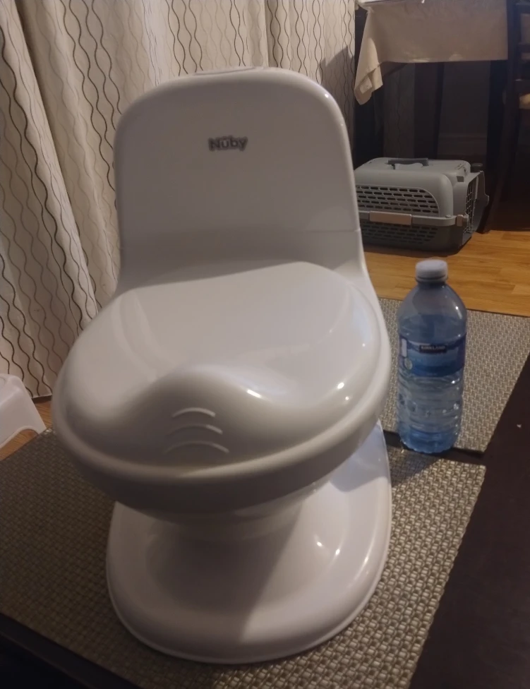 MUSICAL!! Nuby My Real Potty Training Toilet