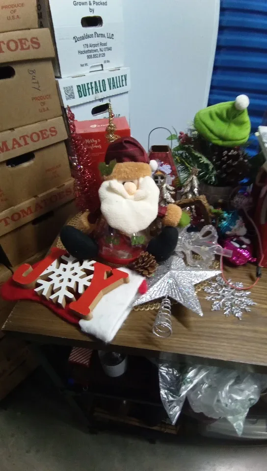 Christmas Decorations Lot