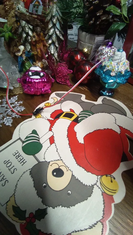 Christmas Decorations Lot image indicator(4)