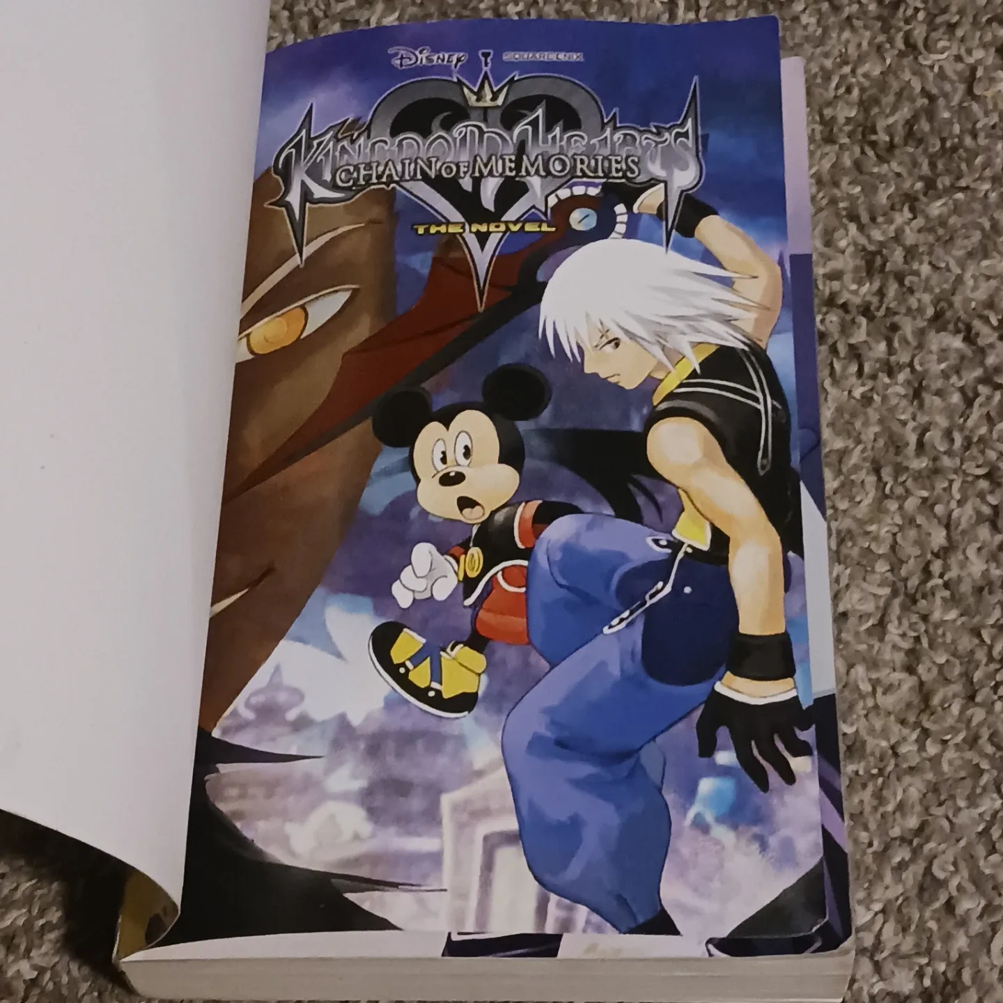Kingdom Hearts: Chain of Memories Novel image indicator(2)
