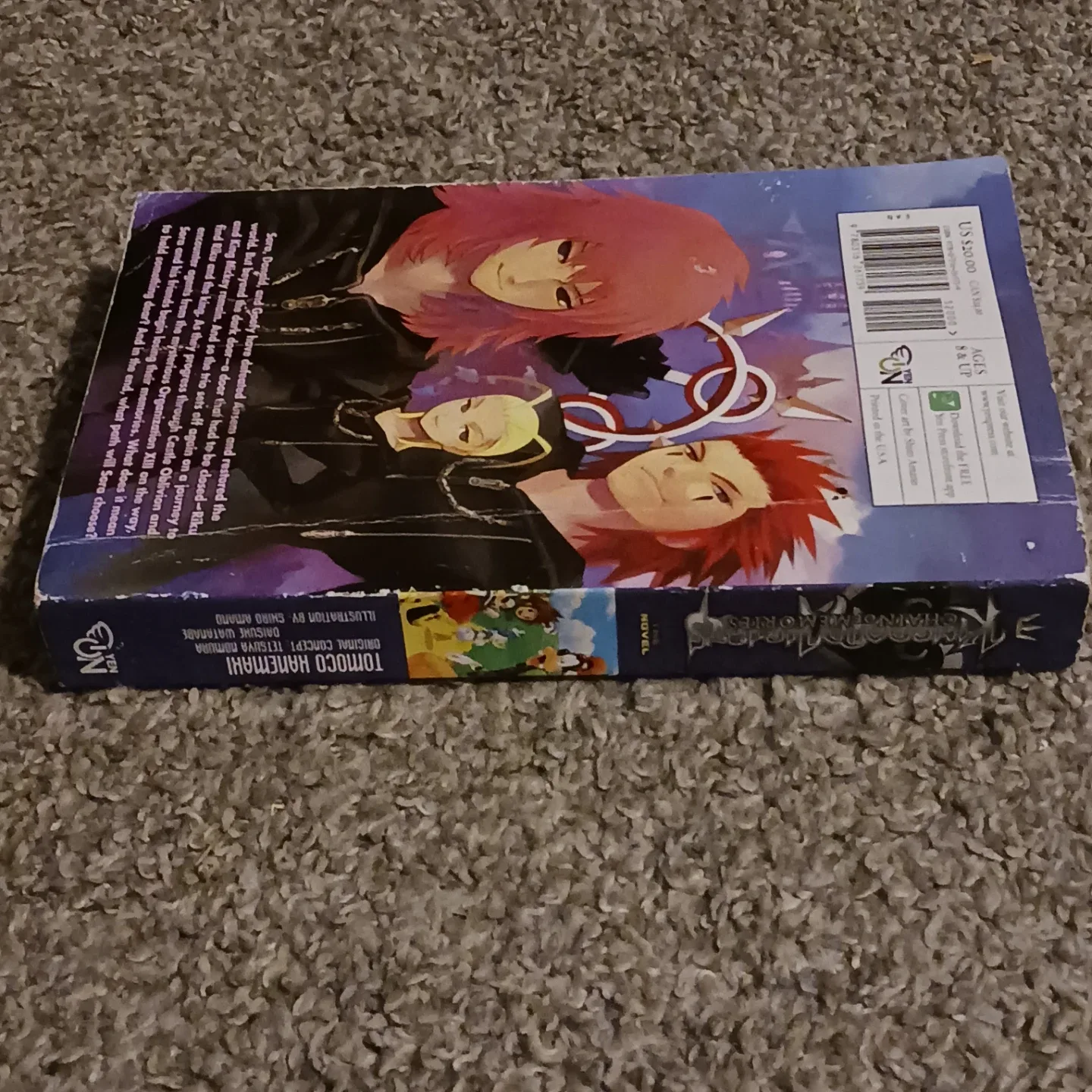 Kingdom Hearts: Chain of Memories Novel image indicator(3)