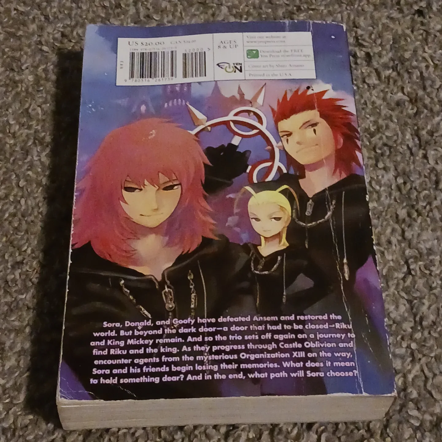 Kingdom Hearts: Chain of Memories Novel image indicator(4)