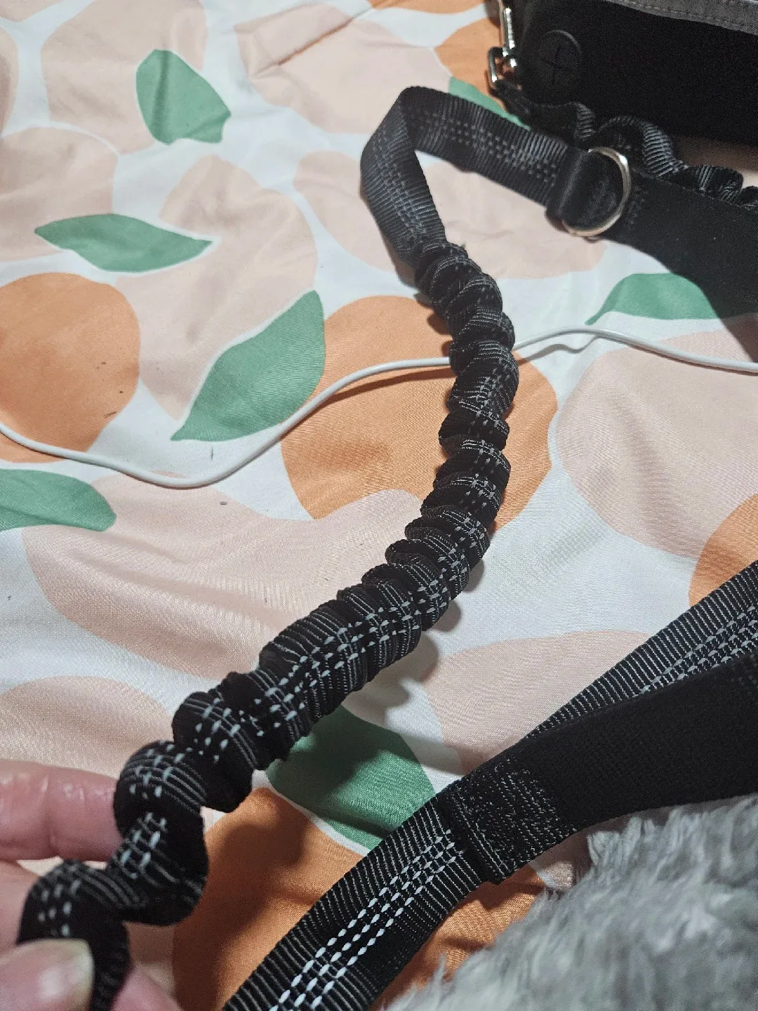 Lanney Hands Free Dog Leash image indicator(2)