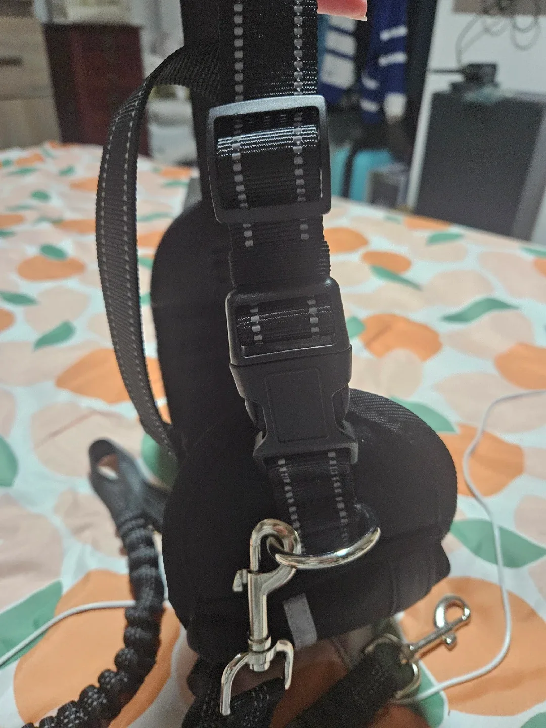 Lanney Hands Free Dog Leash image indicator(3)