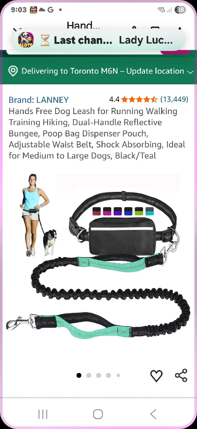 Lanney Hands Free Dog Leash image indicator(5)