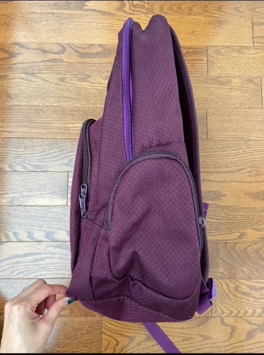 Dakine Purple Backpack - photo 2
