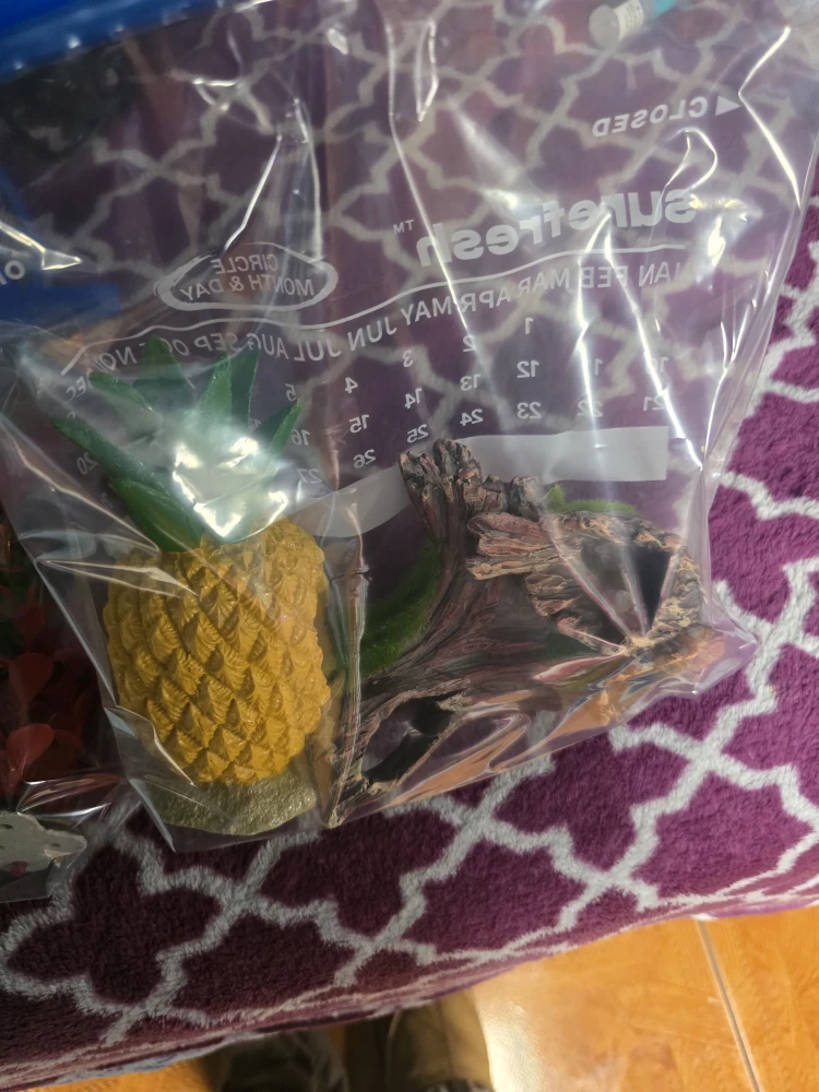 10 gallon Fish tank with accessories - photo 2