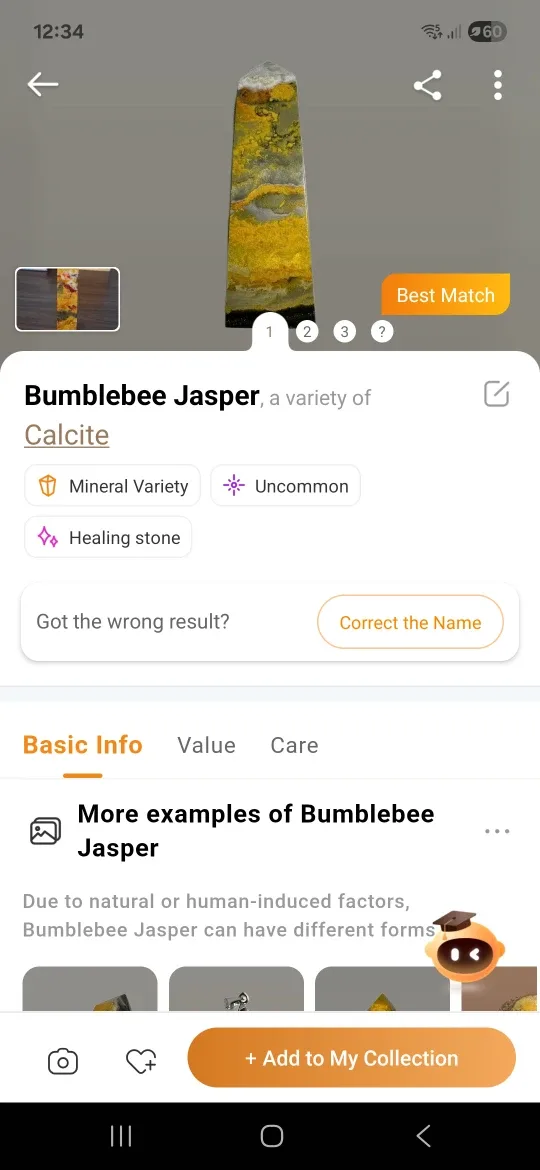 Bumblebee Jasper Healing Stone image indicator(5)