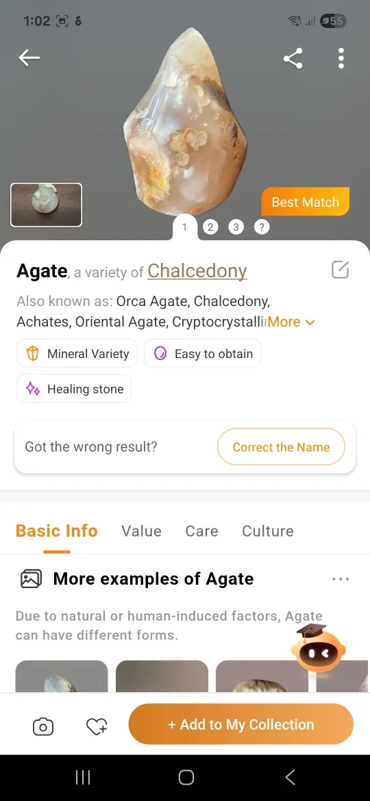 Agate Chalcedony Money Bag/Santa Sac Carving image indicator(5)