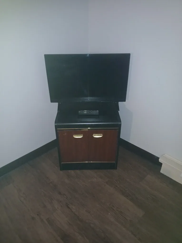 Insignia 39" LED TV NS-39D310NA16 image indicator(2)