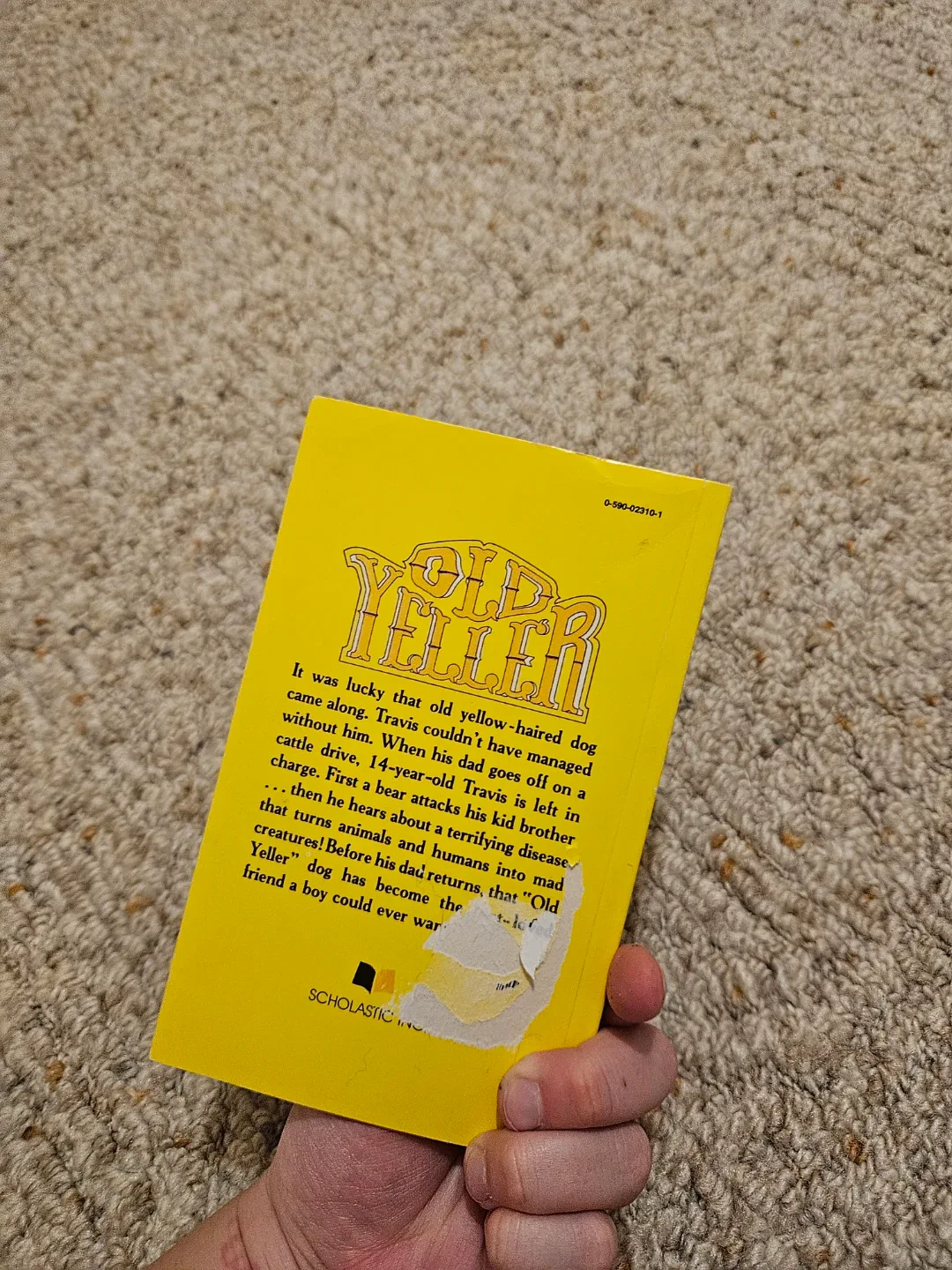 more all kind of books image indicator(4)