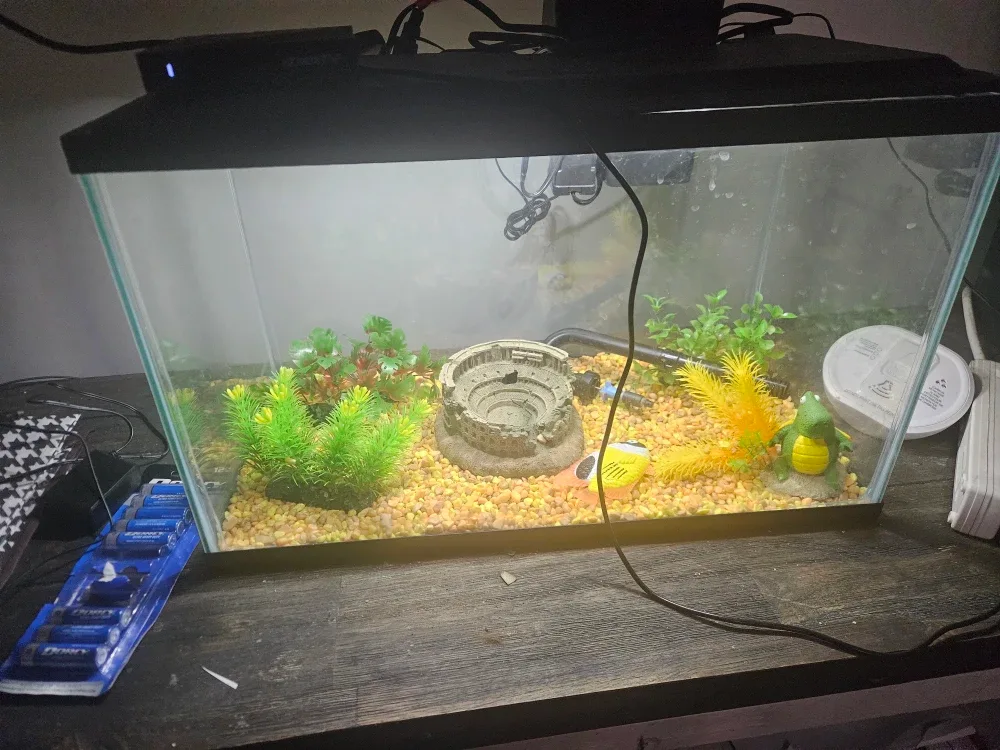 CPAP Machine with Accessories