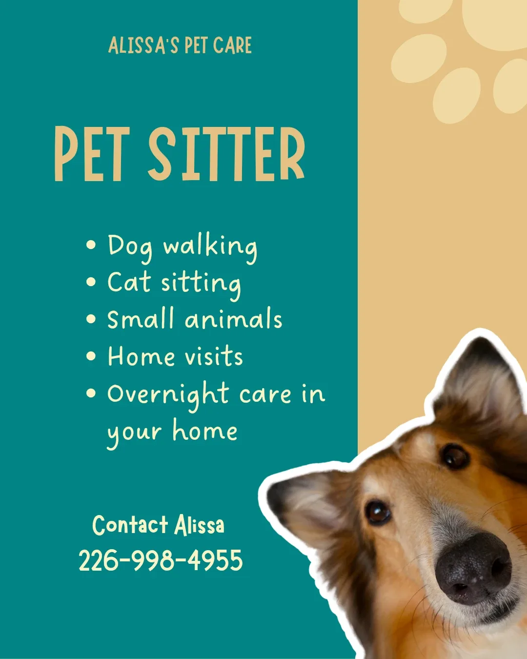 Pet sitting/ dog walking