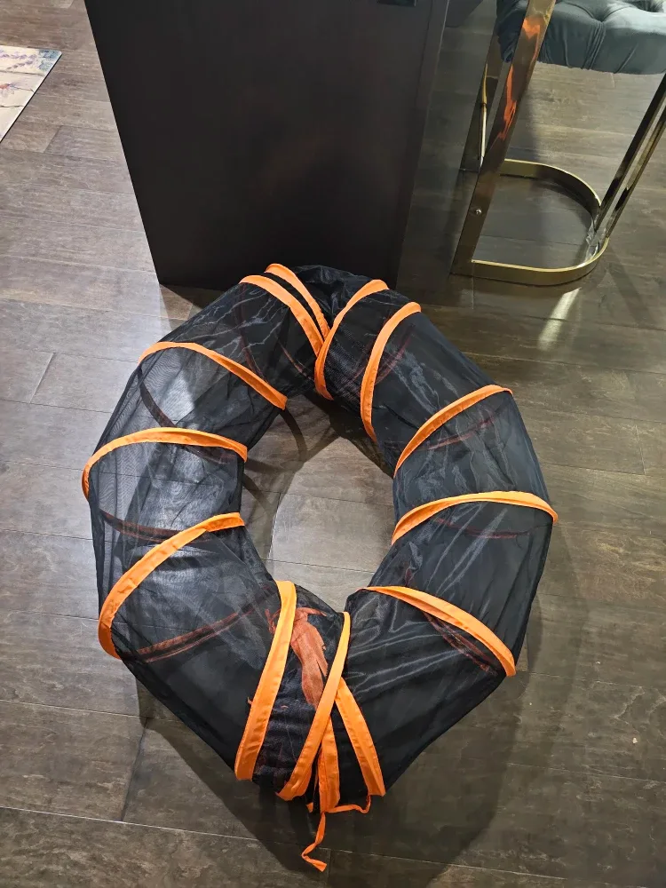 Cat Tunnel (New) image indicator(4)