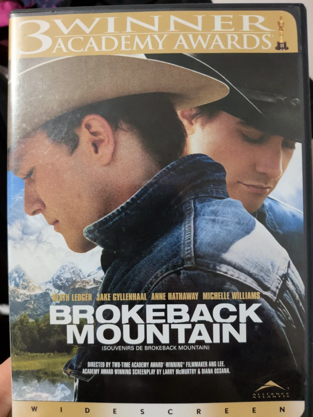 Brokeback Mountain DVD thumbnail