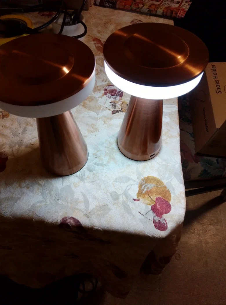 Copper Mushroom Table Lamps (Set of 2) image indicator(3)