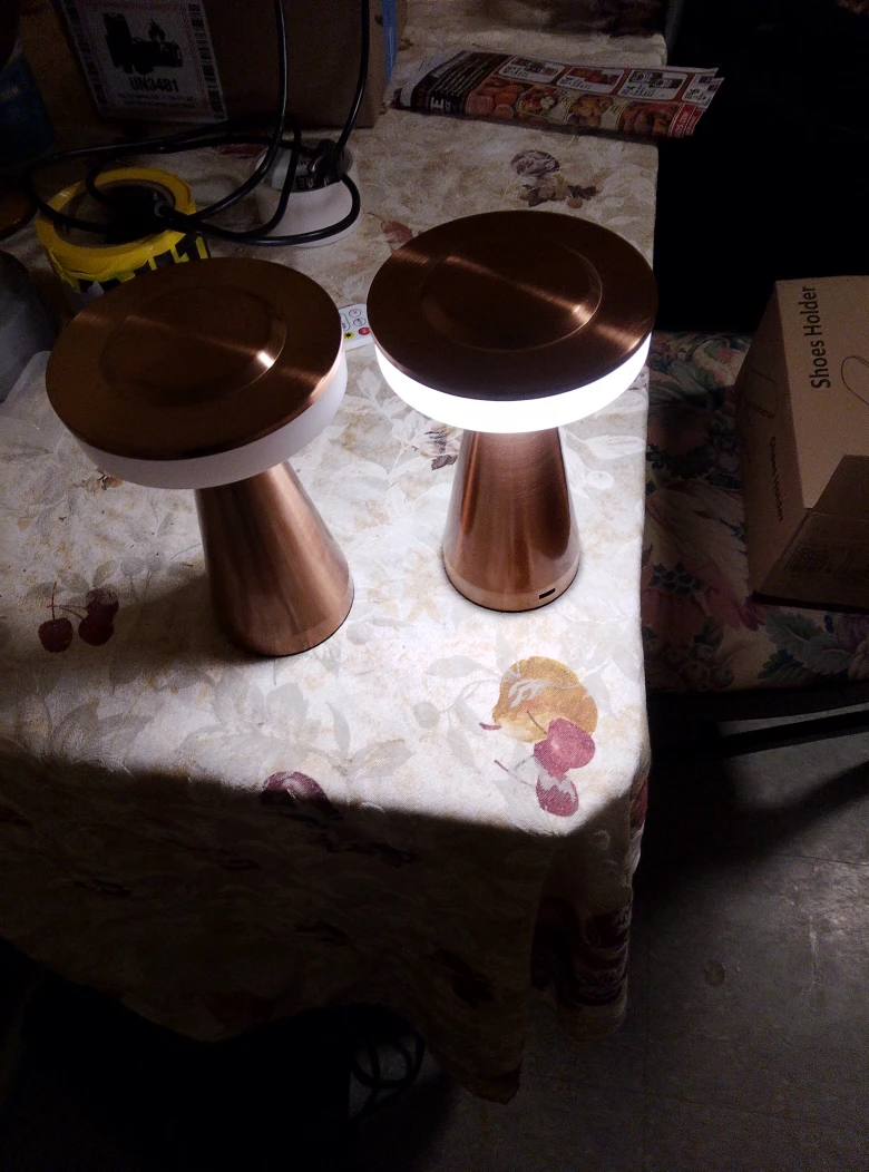 Copper Mushroom Table Lamps (Set of 2) - photo 4