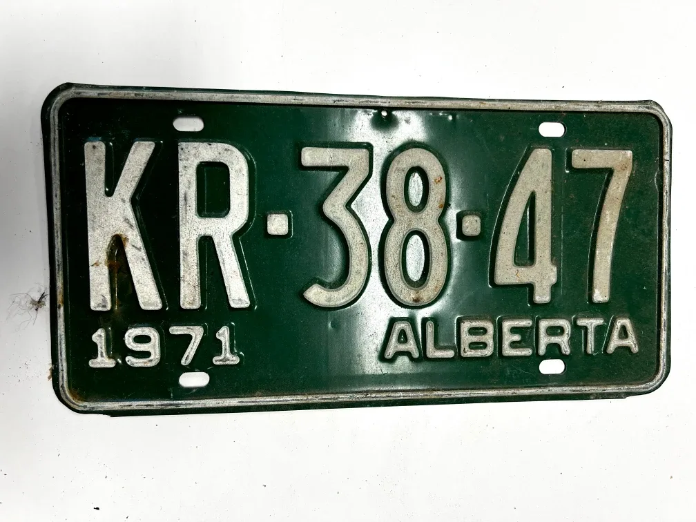 25 Vintage Authentic License Plate Collection (1931–1978) image indicator(5)