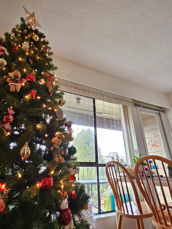 Xmas Tree image indicator(2)