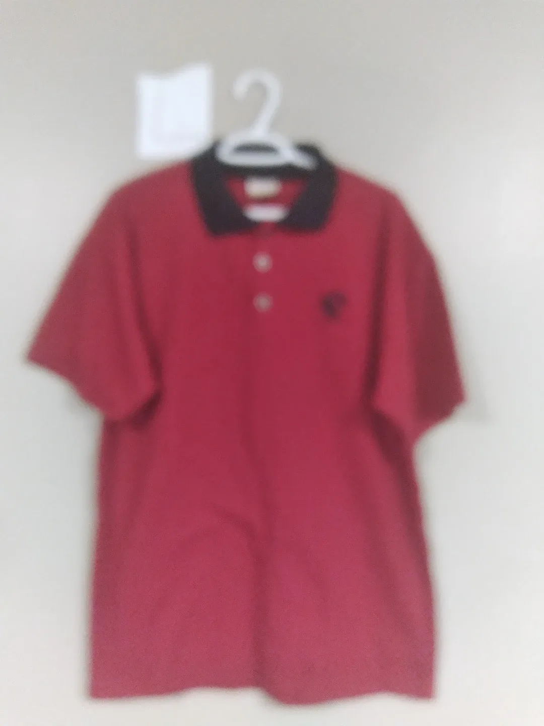 #2 large men's clothing image indicator(8)