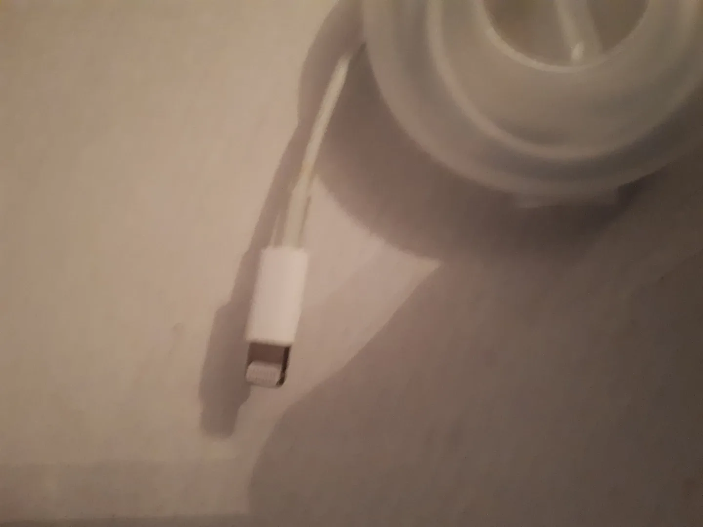 Apple Lightning to USB-C Cable image indicator(4)